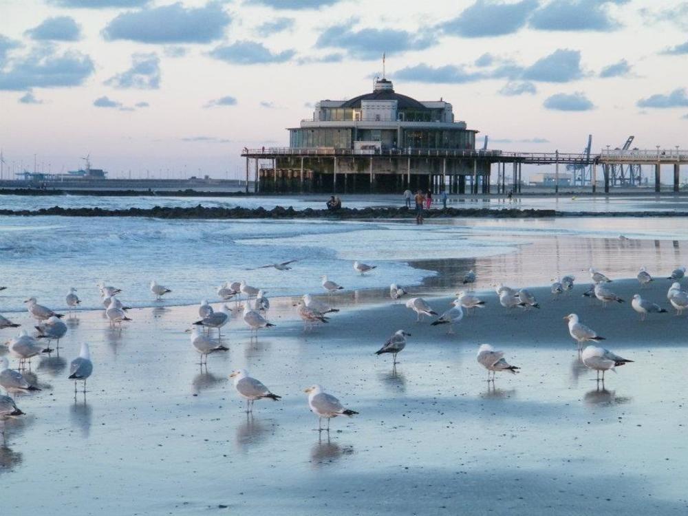 Hotel Seaside Blankenberge Exteriér fotografie